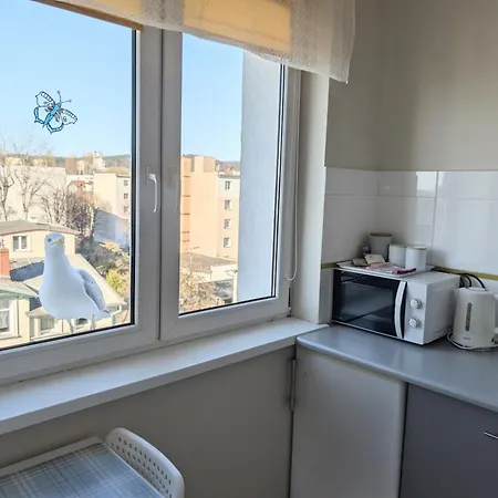 Karlik Moj-sopot Pl سوبوت